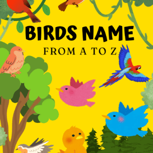 Bird Names A to Z – Kids eBook (PDF & Printable)